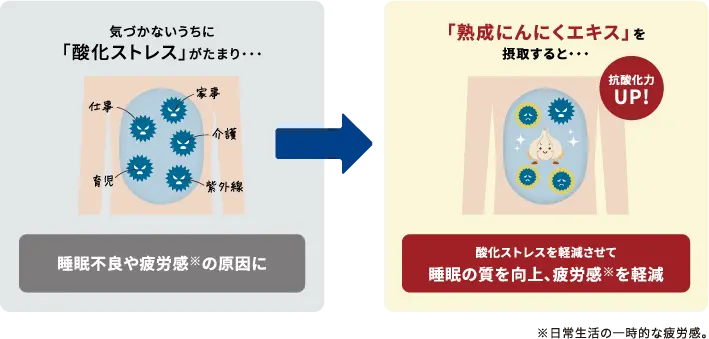 気づかないうちに「酸化ストレス」がたまり…睡眠不良や疲労感の原因に→「熟成にんにくエキス」を摂取すると…抗酸化力UP!　酸化ストレスを軽減させて睡眠の質を向上、疲労感を軽減