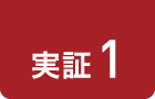実証1