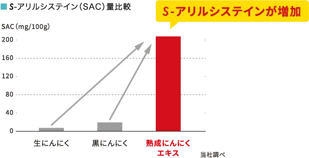 S-アリルシステイン（SAC）量比較